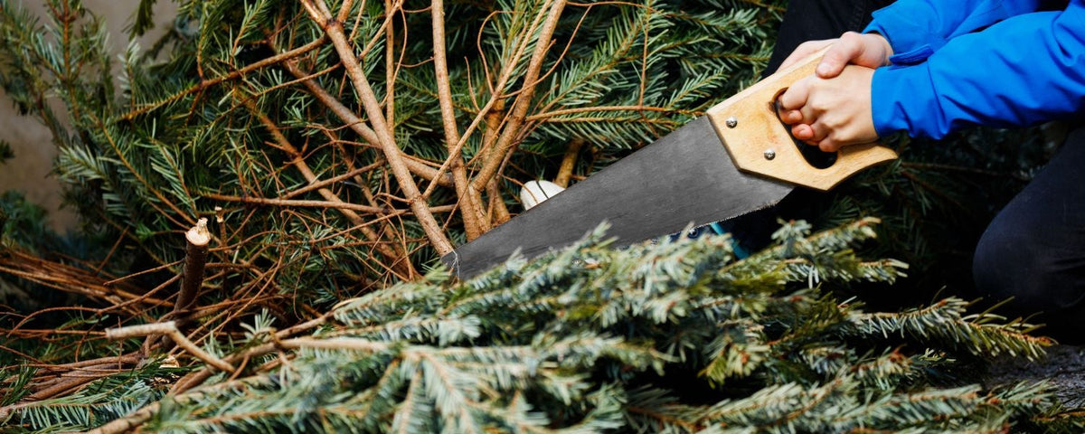 De kerstboom opruimen