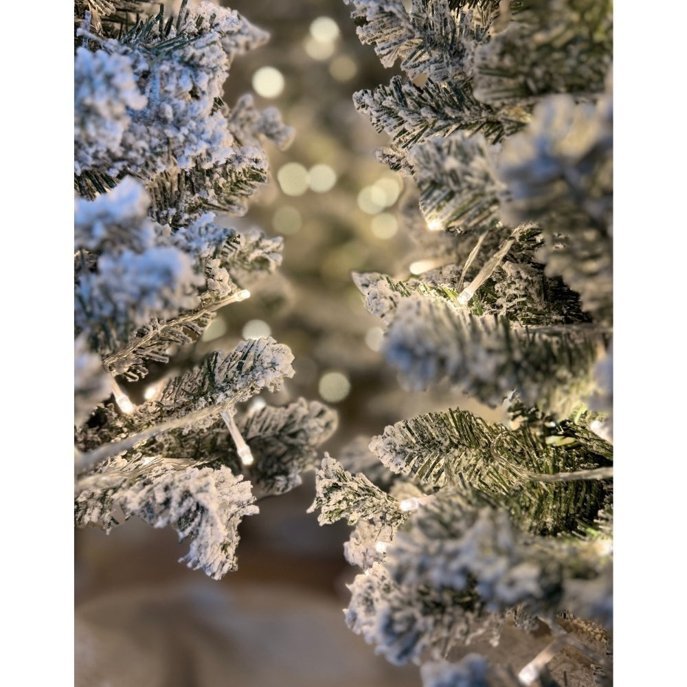 SET-VOORDEEL | Pencil Pine Snowy family 120/150/180cm | smal | groen