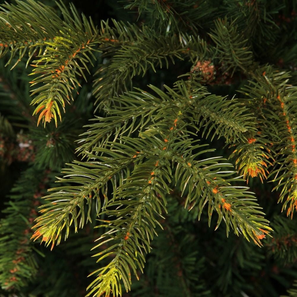 Frasier kunstkerstboom 260xø161cm | groen