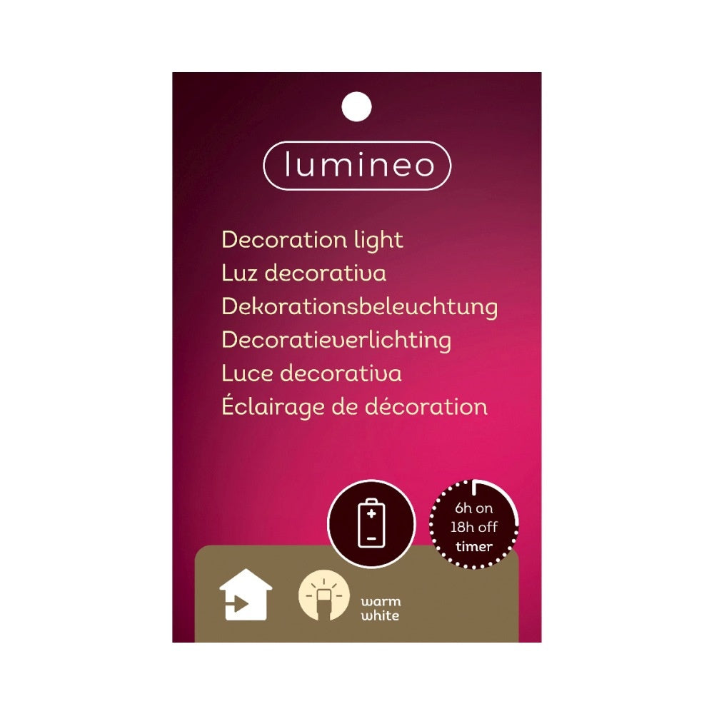 Beer met boek | polyresin | LED lampjes | 22cm