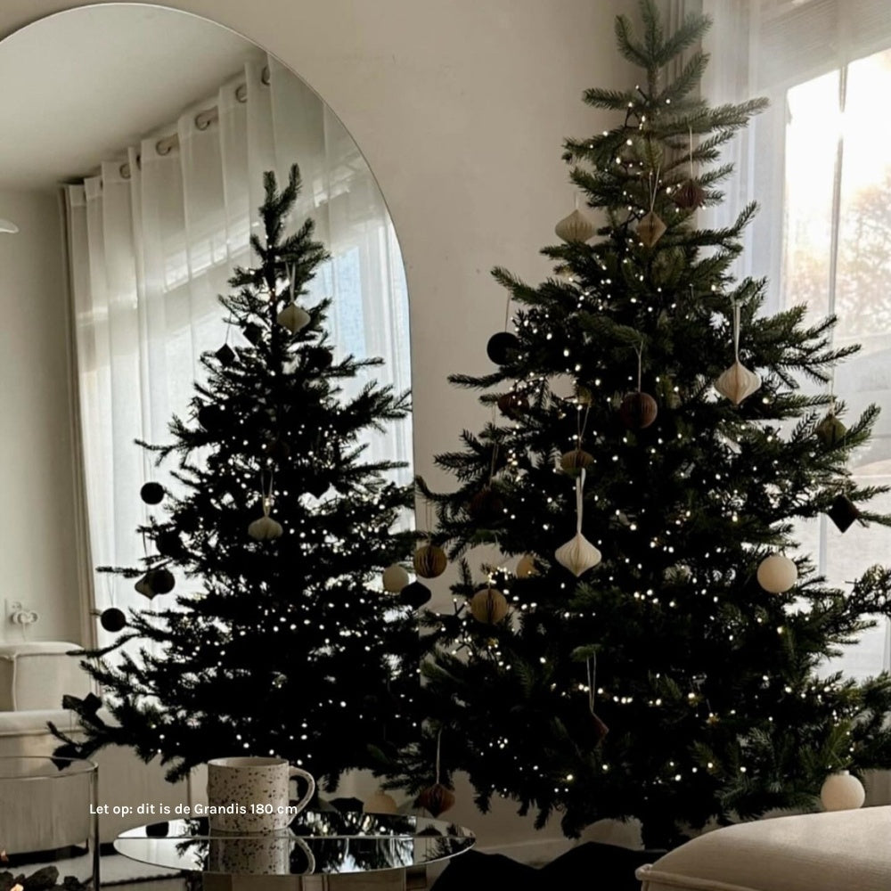 Grandis Fir kunstkerstboom 360xø193cm | groen